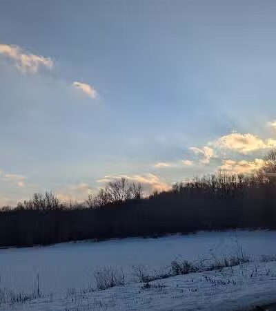Lake Park Wildlife Area - Alliance, OH
