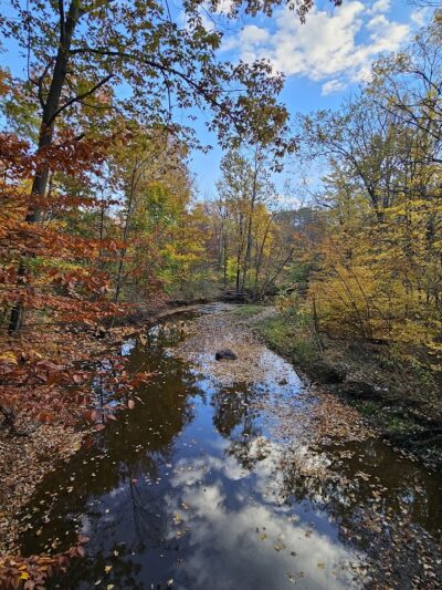 Amherst Beaver Creek Reservation - Amherst, OH