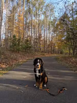 Amherst Beaver Creek Reservation - Amherst, OH