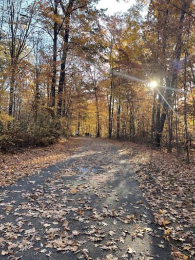 Amherst Beaver Creek Reservation - Amherst, OH