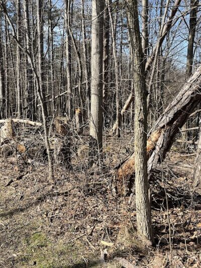 Amherst Beaver Creek Reservation - Amherst, OH