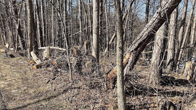 Amherst Beaver Creek Reservation - Amherst, OH