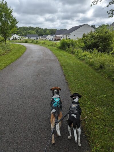 Beaver Creek Trail End - Amherst, OH