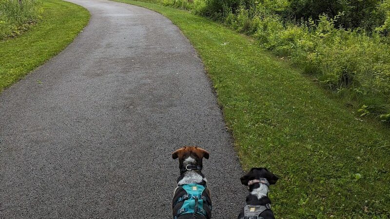 Beaver Creek Trail End - Amherst, OH