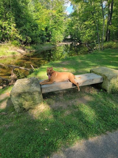 Beaver Creek Trail End - Amherst, OH