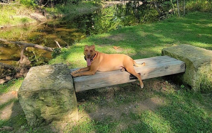 Beaver Creek Trail End - Amherst, OH
