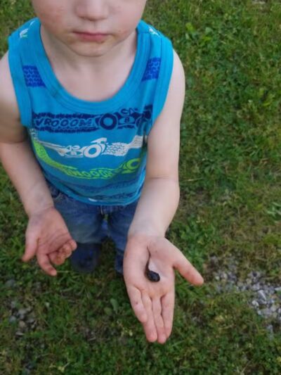 Roger's Park - Amsterdam, OH