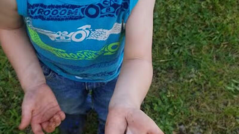 Roger's Park - Amsterdam, OH