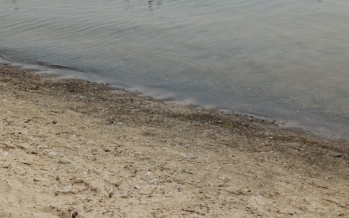 Andover Beach - Pymatuning State Park - Ohio - Andover, OH