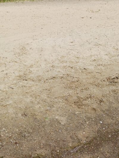 Andover Beach - Pymatuning State Park - Ohio - Andover, OH