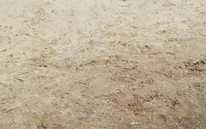 Andover Beach - Pymatuning State Park - Ohio - Andover, OH