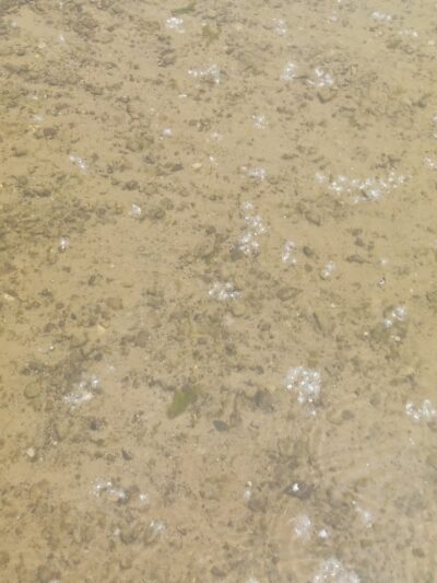 Andover Beach - Pymatuning State Park - Ohio - Andover, OH