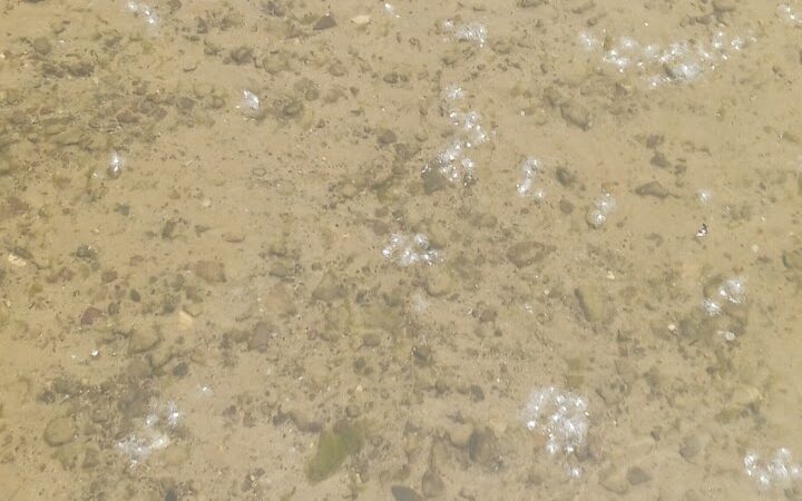 Andover Beach - Pymatuning State Park - Ohio - Andover, OH