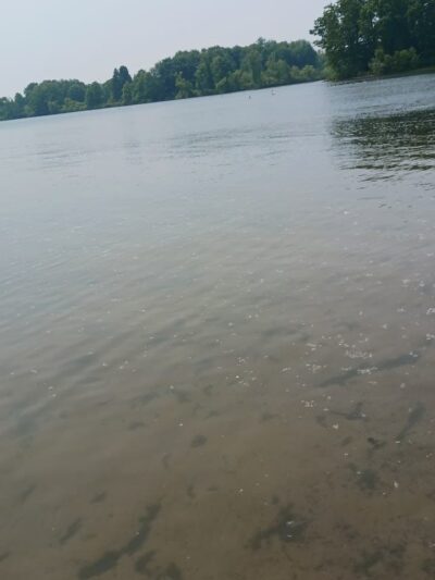 Andover Beach - Pymatuning State Park - Ohio - Andover, OH