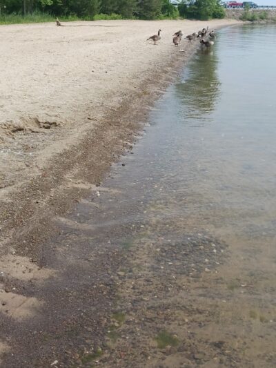 Andover Beach - Pymatuning State Park - Ohio - Andover, OH