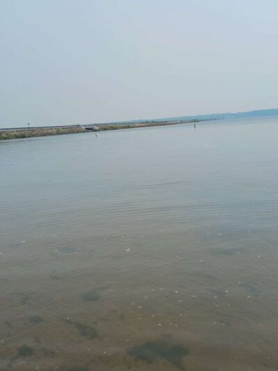 Andover Beach - Pymatuning State Park - Ohio - Andover, OH