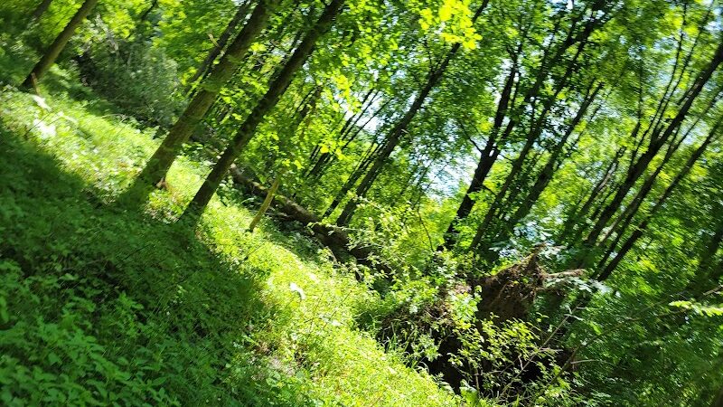 Beaver Dam Trail - Pymatuning State Park - Ohio - Andover, OH
