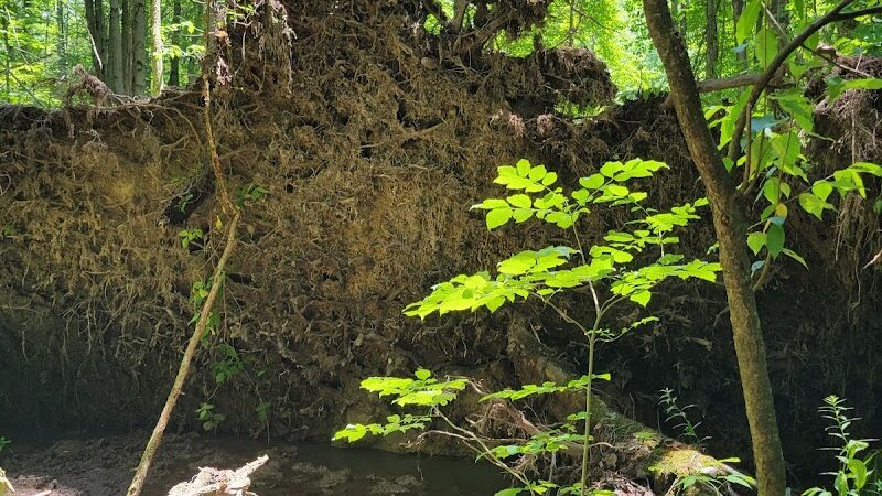Beaver Dam Trail - Pymatuning State Park - Ohio - Andover, OH