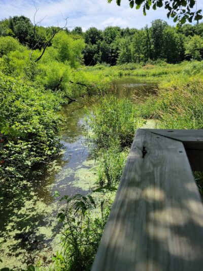 Beaver Dam Trail - Pymatuning State Park - Ohio - Andover, OH