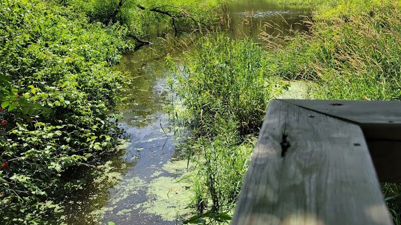 Beaver Dam Trail - Pymatuning State Park - Ohio - Andover, OH