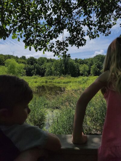 Beaver Dam Trail - Pymatuning State Park - Ohio - Andover, OH