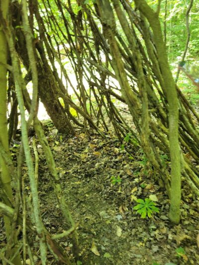Beaver Dam Trail - Pymatuning State Park - Ohio - Andover, OH