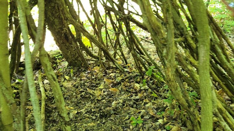 Beaver Dam Trail - Pymatuning State Park - Ohio - Andover, OH