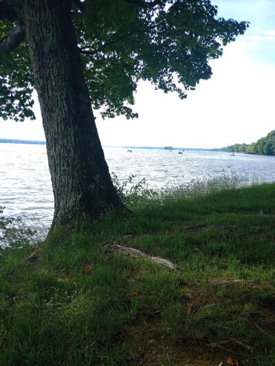 Poplar grove Picnic Area - Andover, OH