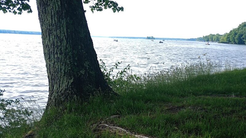 Poplar grove Picnic Area - Andover, OH