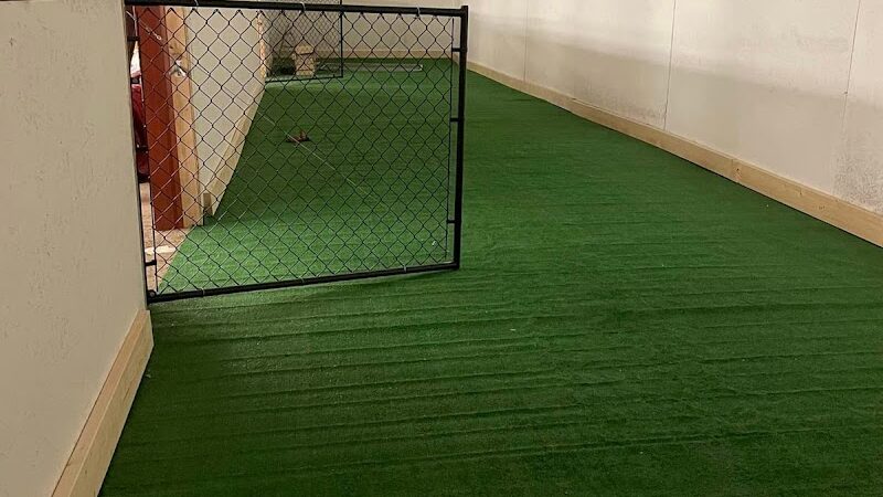 Pymatuning Paws - Andover, OH