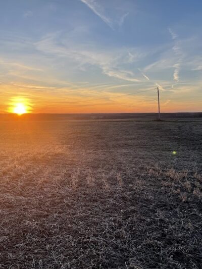 Pymatuning Paws - Andover, OH