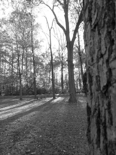 Ivester Park - Arcanum, OH