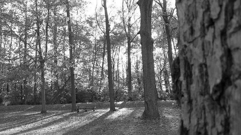Ivester Park - Arcanum, OH