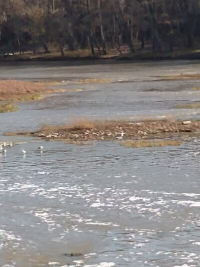 Woodland Park - Archbold, OH