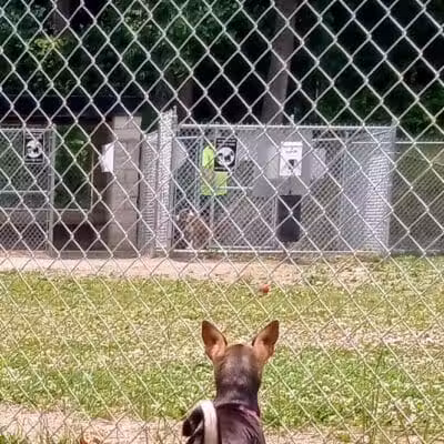 Central Bark - Ashland, KY