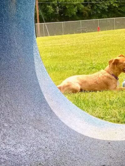 Central Bark - Ashland, KY