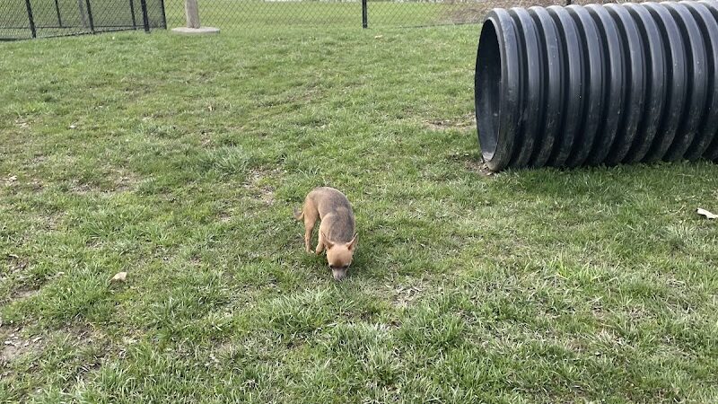 Dog park - Ashland, OH