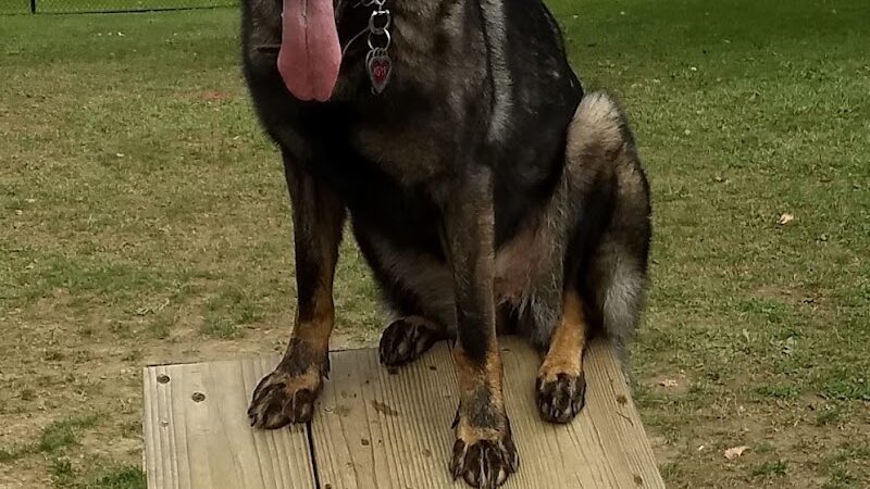 Dog park - Ashland, OH