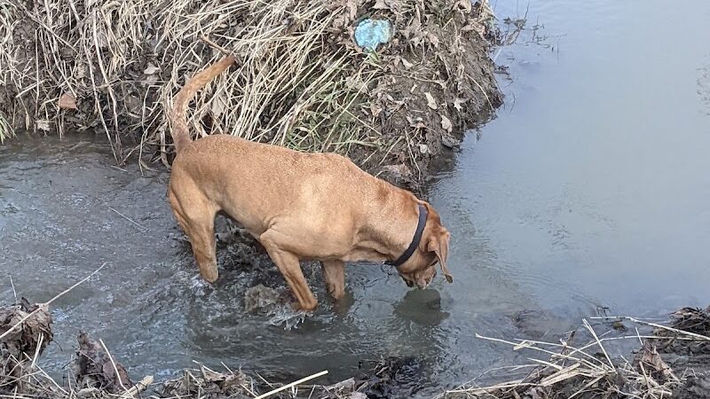 Peppy Paws Pooch Park, LLC - Ashland, OH