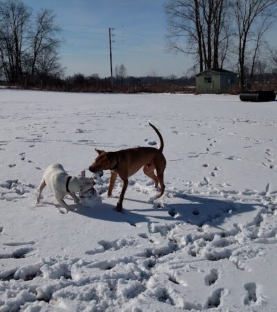 Peppy Paws Pooch Park, LLC - Ashland, OH