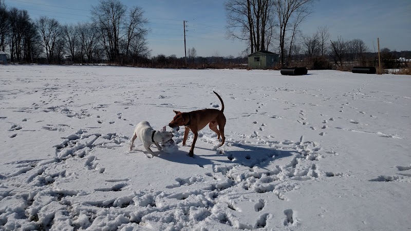 Peppy Paws Pooch Park, LLC - Ashland, OH