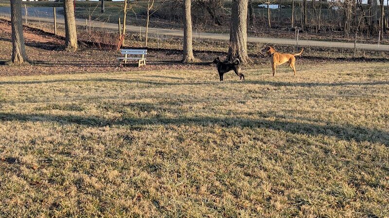 Peppy Paws Pooch Park, LLC - Ashland, OH