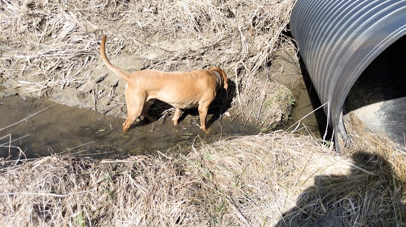 Peppy Paws Pooch Park, LLC - Ashland, OH