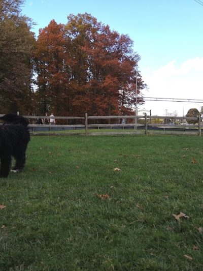 Smith Field Dog Park - Ashtabula, OH