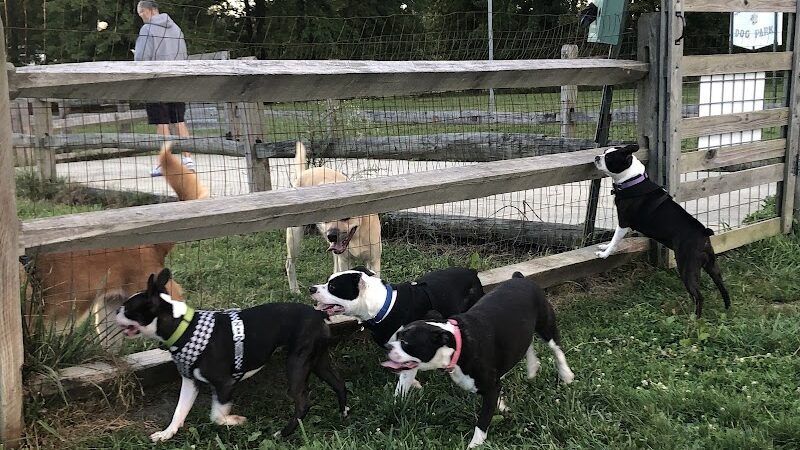 Smith Field Dog Park - Ashtabula, OH