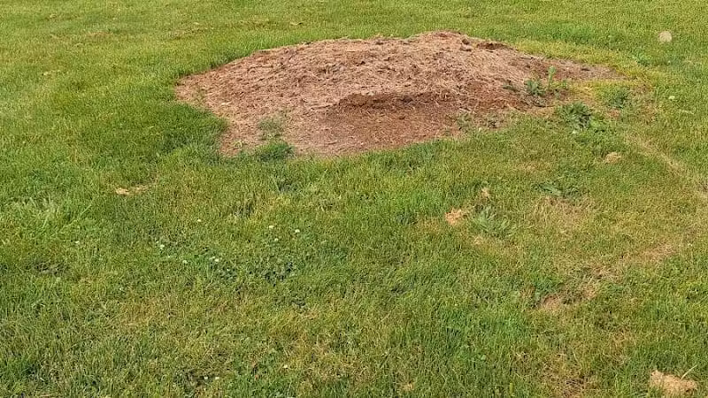 Ashville West Side Park - Ashville, OH