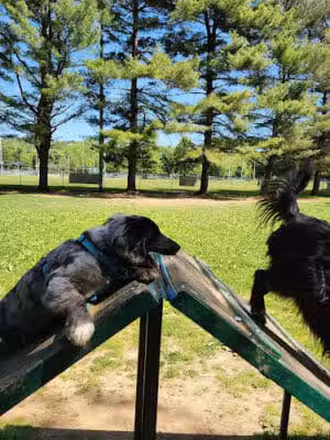 Athens West State Park - Athens, OH