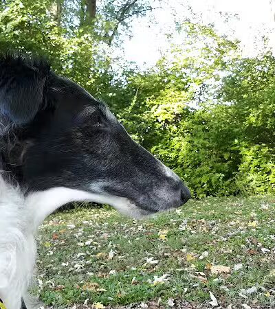Athens West State Park - Athens, OH