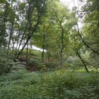Beaumont-Salina Trailhead - Athens, OH