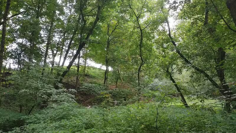 Beaumont-Salina Trailhead - Athens, OH